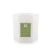 Antica Farmacista Fig Leaf Scent Candle 9 oz