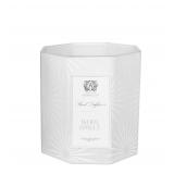 Antica Farmacista White Spruce Scent Candle 9 oz