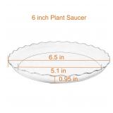 Grjoprt Plant Saucer 6 inch
