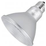 Feit Electric PAR30 LED Bulb Short Neck