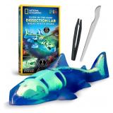 Blue Marble Shark Dissection Kit One Size