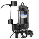 Acquaer 2 NPT Sewage Pump