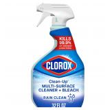 Clorox Multi-Surface Cleaner 32 Fl Oz