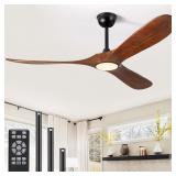 Puoyro 52 Ceiling Fan wLight