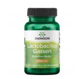 Swanson Probiotic 60 Capsules