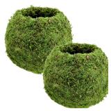 Arcadia Garden Products Kokedama Set 6.5x5.9