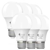 Evelor 6-Pack A19 LED Bulbs 60W Equivalent
