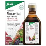 Floradix Formula Liquid Iron Supplement