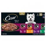 Cesar Filets In Gravy Wet Dog Food 48ct