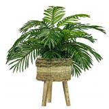 Phoenix Palm in Tri-Colored Tripod Basket Stand
