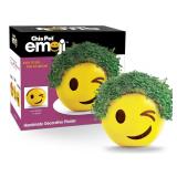 Chia Emoji Winky Pottery Planter 3-Planting Kit