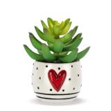 DEMDACO Mini Faux Succulent Red Heart Dcor 2x1.5