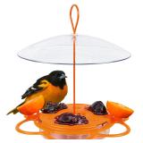 NATURES WAY Oriole Buffet Bird Feeder Orange