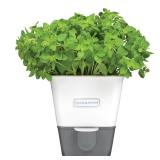 Cole Mason Self-Watering Herb Keeper White