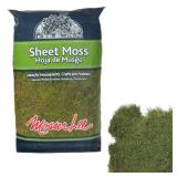 Mosser Lee Natural Green Sheet Moss 520 cu. in.