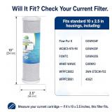 CFS CTOS-10 Carbon Block Filter 10 0.5 Micron