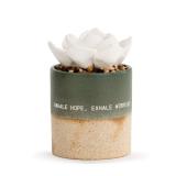 Demdaco Succulent Stoneware Oil Diffuser 3x5 in