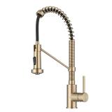 Daniel Kraus Bolden Pull-Down Kitchen Faucet