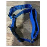 Blue Nylon Martingale Dog Collar Quick Release