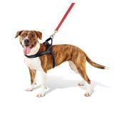 Boots Barkley No Pull Dog Harness Size L