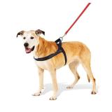 Boots Barkley No-Pull Dog Harness Black XL