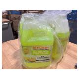 Mr. Clean All Purpose Cleaner