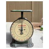 Eveready Family Scale - 24 Pounds Capacity