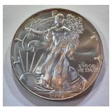 1996 Key Date American Silver Eagle One Dollar Coi