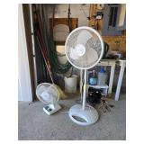Two Fans