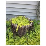 Potted Plant #2