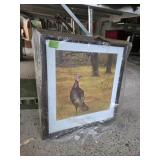 Wild Turkey