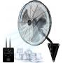 Amazon Semi Load Auction-3177