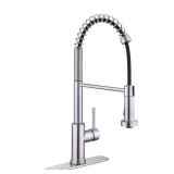 Paulina Single-Handle Pull Down Faucet - Steel