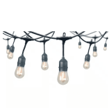 12-Light Indoor/Outdoor 24 ft LED String Lights