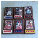 6 NASCAR Plaques Featuring Drivers
