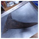 Decorative Driftwood Sculpture With Natural Finish
