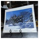 ML Grauel Signed Original Photographic Art Print