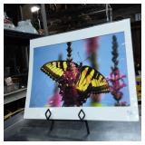 M L Grauel Signed Original Photographic Art Print