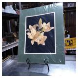 ML Grauel Signed Photographic Print of Lilies