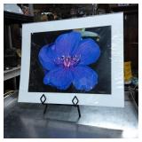 Signed ML Grauel Photographic Art Original Print