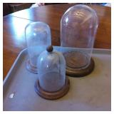 Three Glass Domes With Wooden Bases