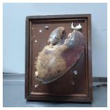 Mounted Crab Claw on Wooden Plaque