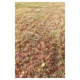 Metal Stand Measuring 18.5 Inches Tall and 12.5 In