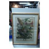 Framed Botanical Engraving with Floral Illustratio