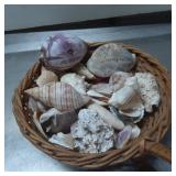 Woven Basket With Assorted Sea Shells Collection
