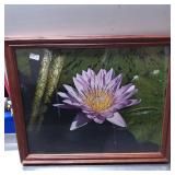 Framed ML Grauer Photographic Art Print of a Water