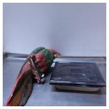 Painted Parrot Sculpture and Black Square Decorati