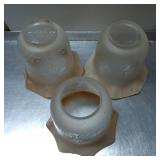 Three Frosted Glass Light Shades with Etched Flora