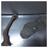 Wooden Raccoon Figurine with Tree Log and Rock Bas