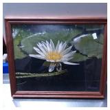 Framed Limited Edition Photographic Print by M.L.